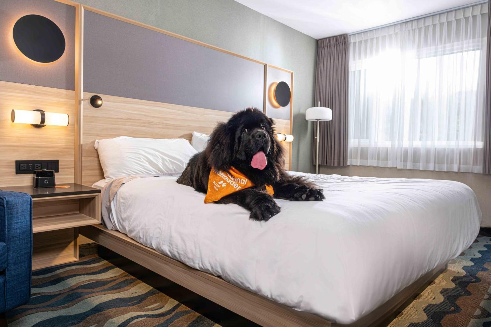 Accent Vancouver Airport 3*