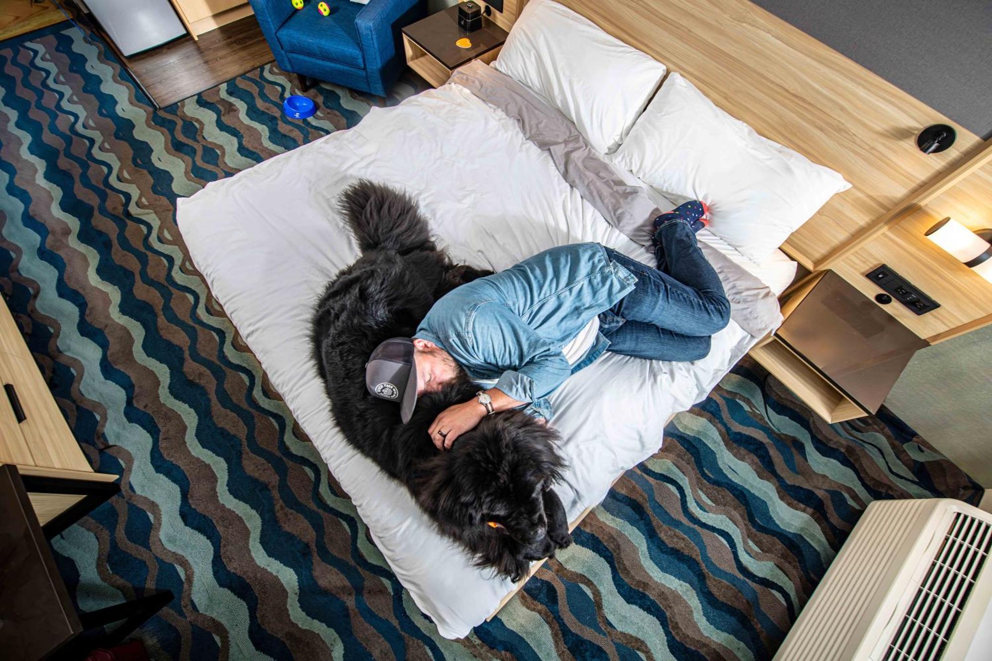 Accent Vancouver Airport Hotel 3*